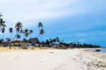 Jambiani Beach Zanzibar Why Visit Top Things To Do