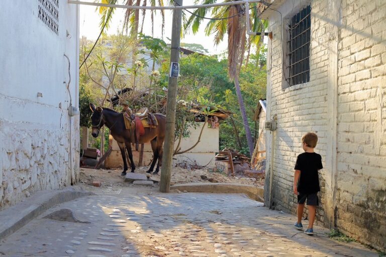 10 Captivating Reasons To Visit Yelapa Mexico