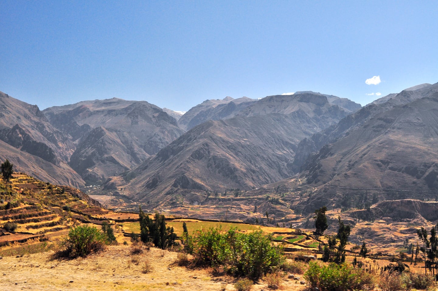 Colca Canyon 2 Day Trek: A Detailed First-hand Guide