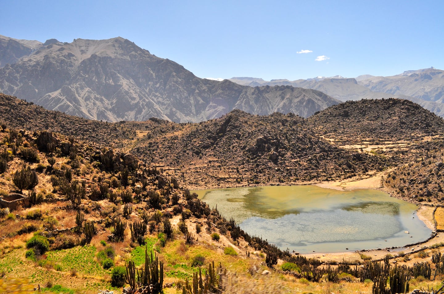 Colca Canyon 2 Day Trek: A Detailed First-Hand Guide