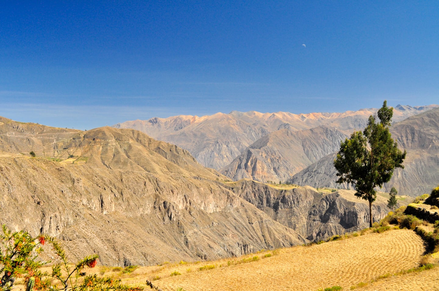 Colca Canyon trek views