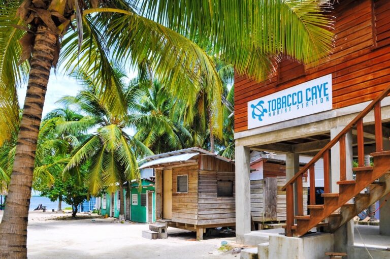 The Ultimate Visitor's Guide To Tobacco Caye, Belize