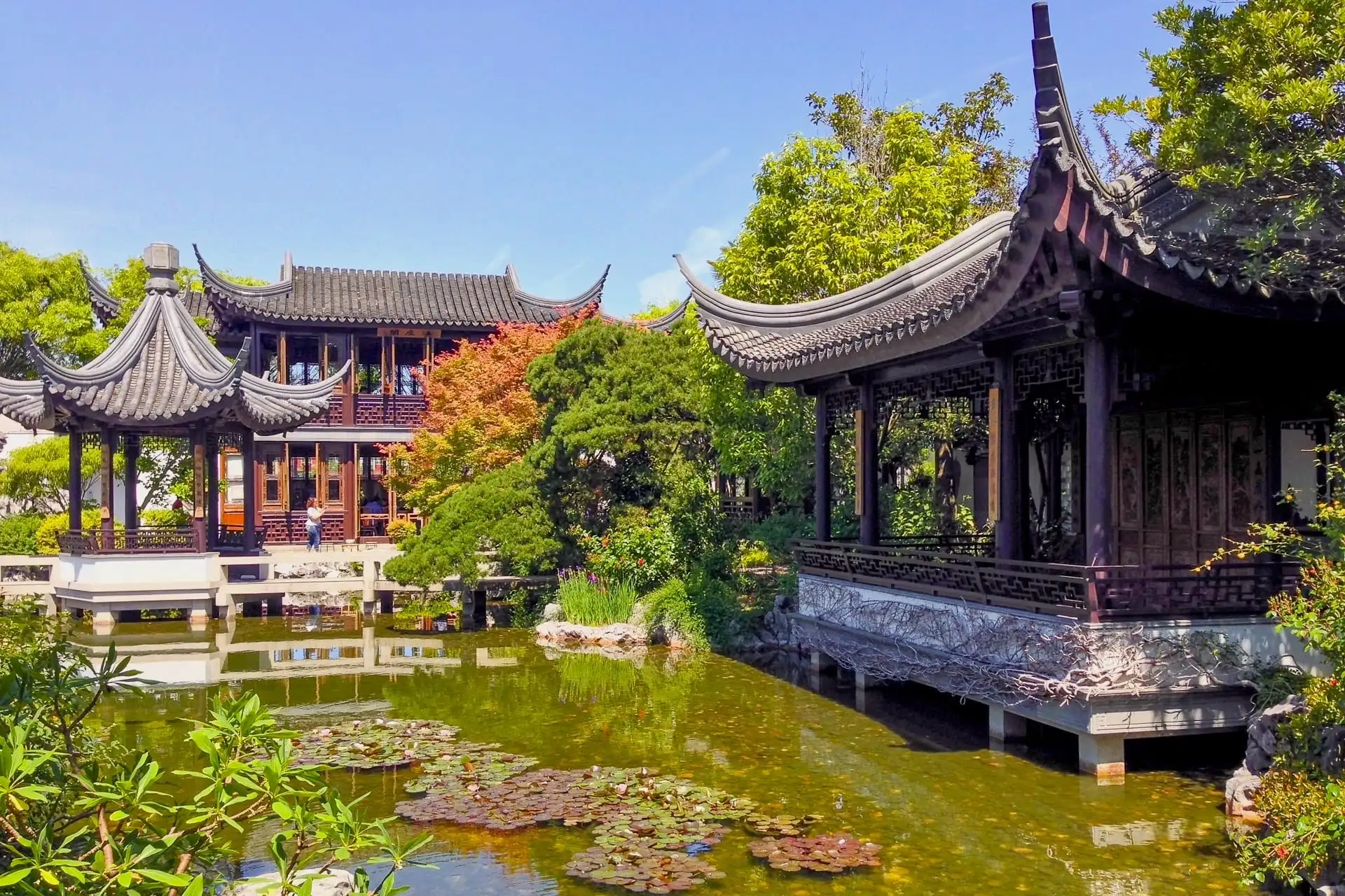 Lan Su Chinese Garden in Portland: A First-Hand Guide