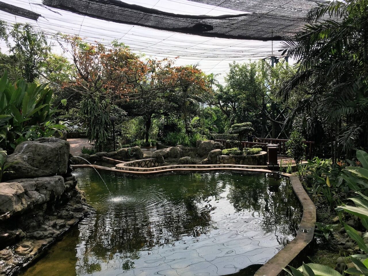 KL Bird Park Visitor's Guide, Review & What to Expect