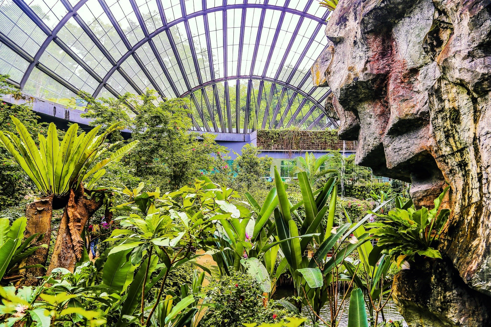 Entopia by Penang Butterfly Farm: What to Expect + Visitor Tips