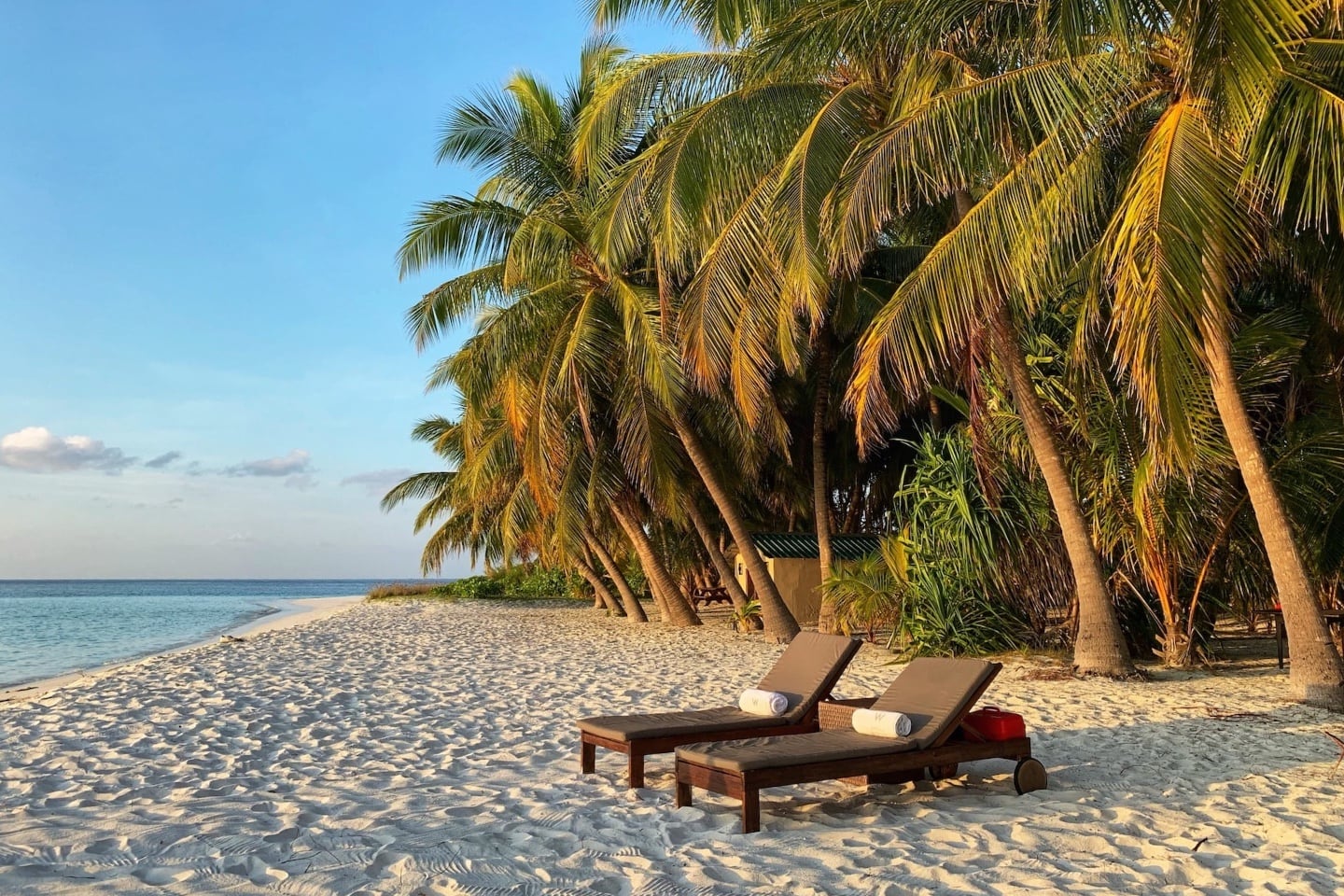 sun loungers in paradise