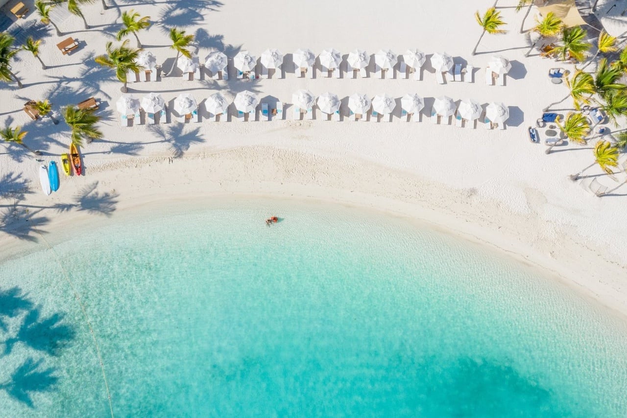 beach umbrellas lined up along the beach