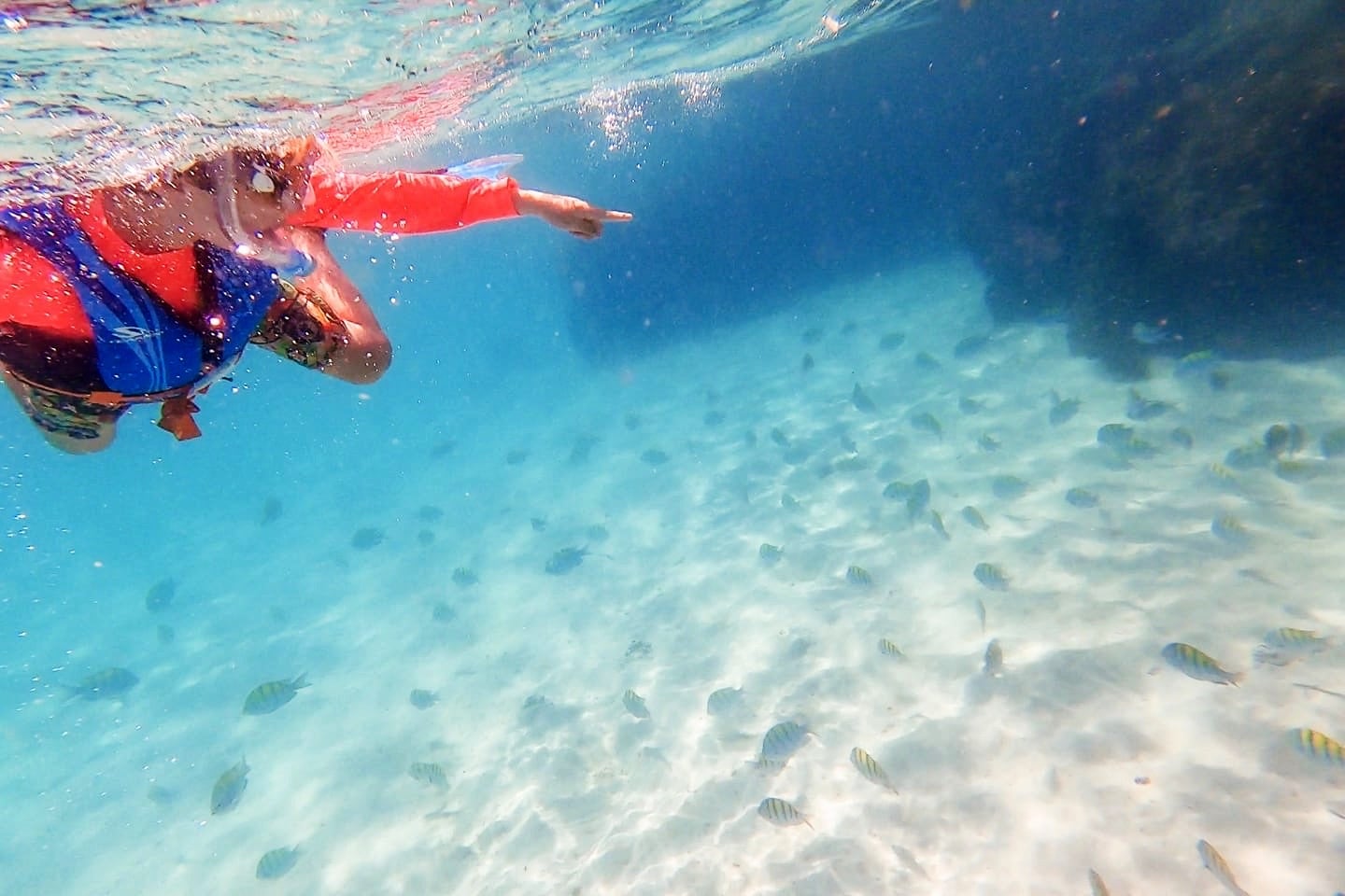 child snorkeling with fish