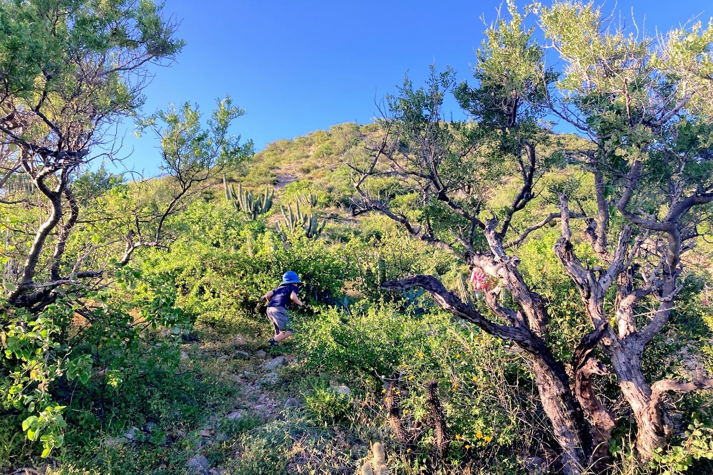 child hiking up mountain in Cabo Pulmo