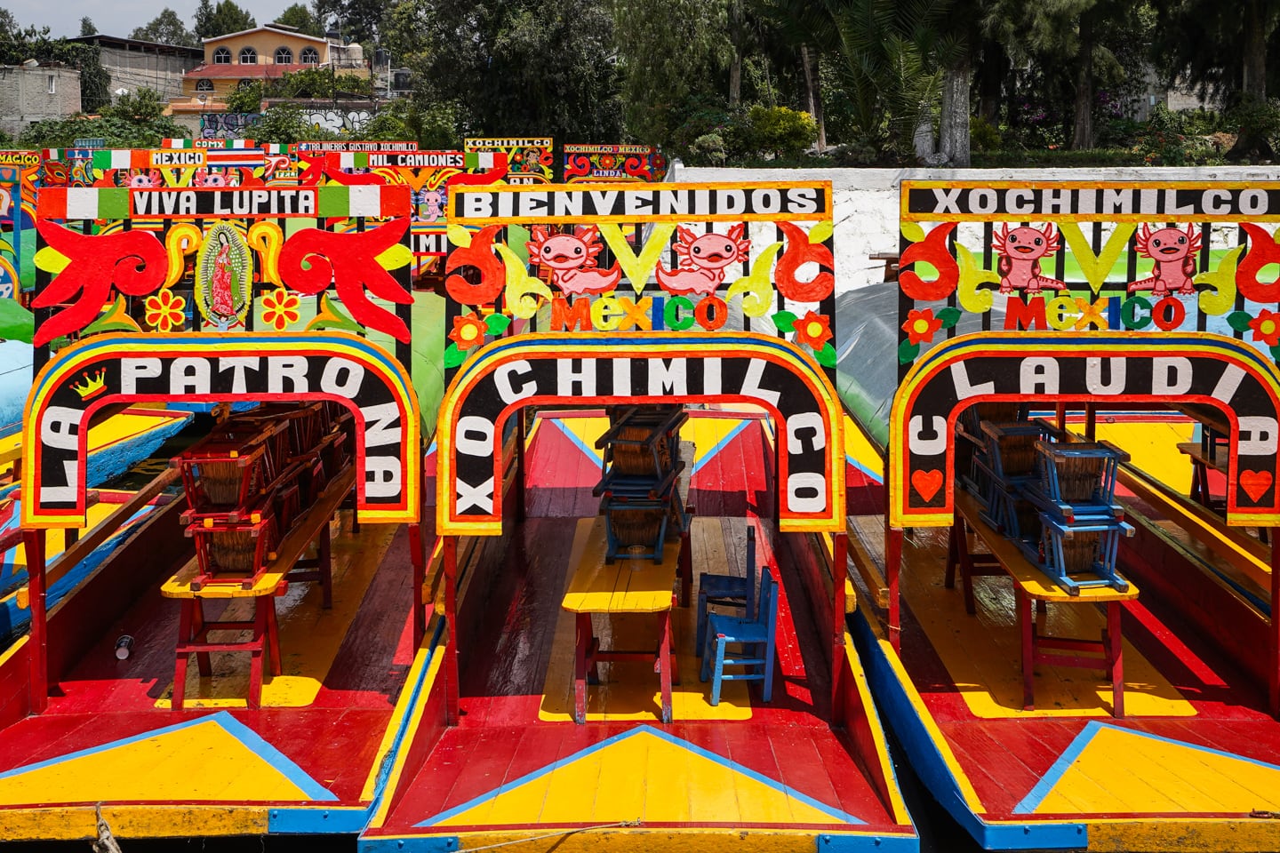 Xochimilco Floating Gardens in Mexico City