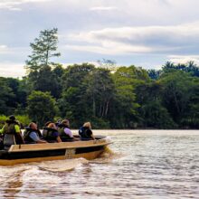 people on boat on a Kinabatangan River cruise tour in Borneo